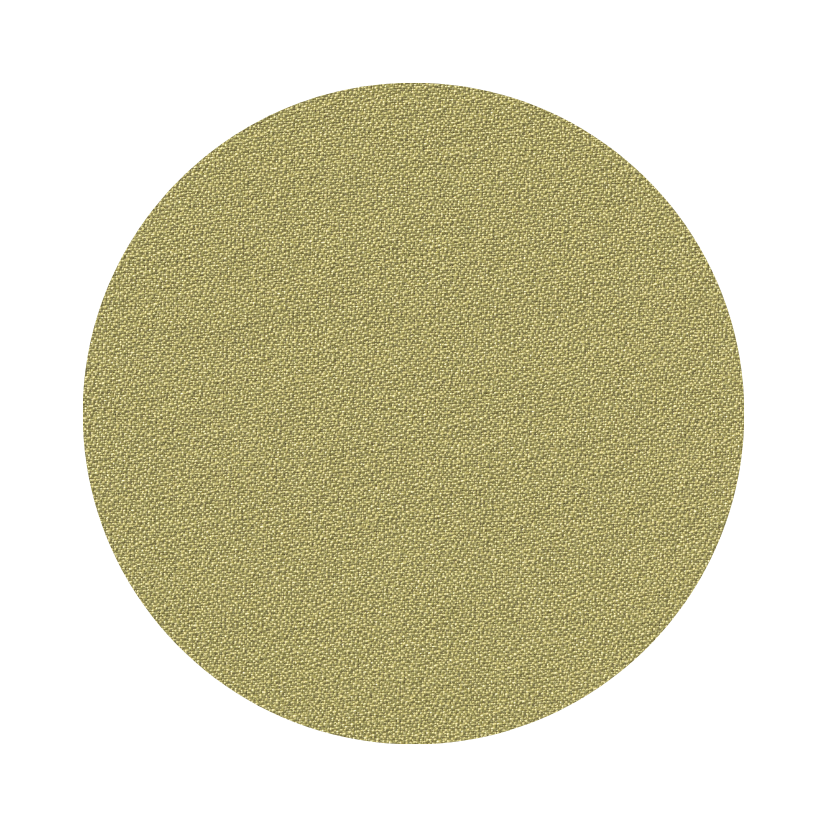 R11 (Fabric)