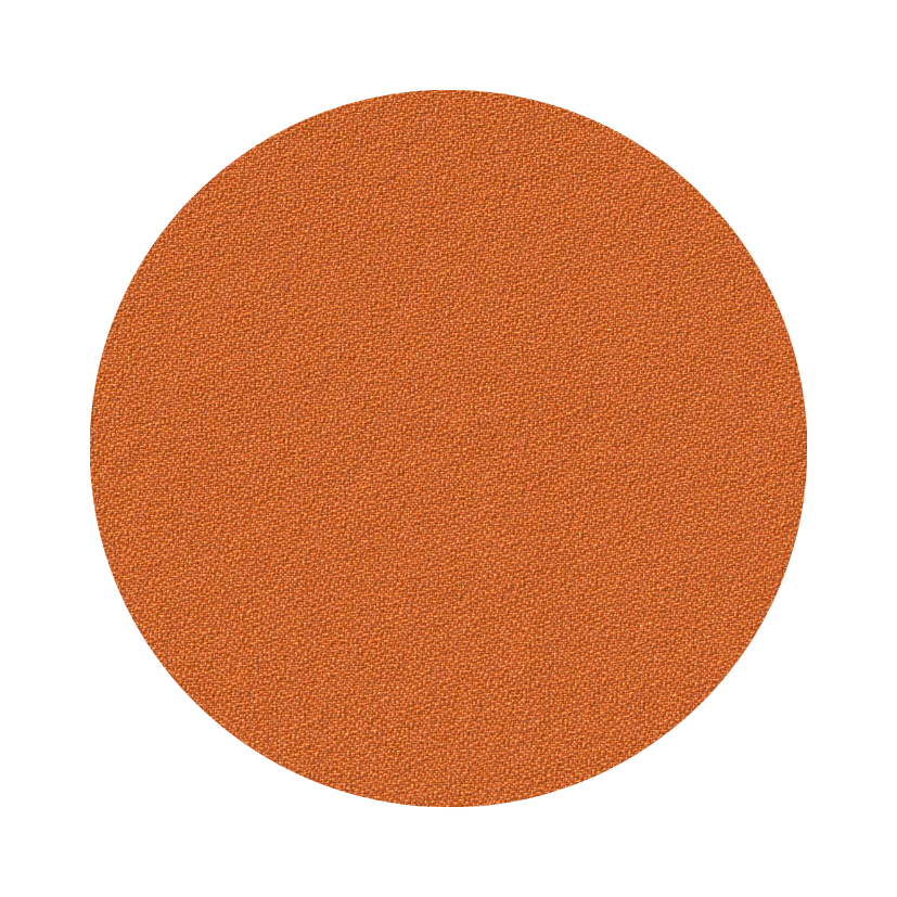 R11 (Fabric)
