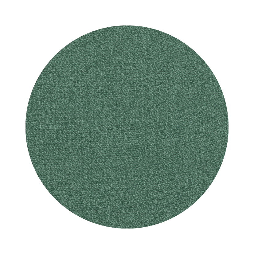 R11 (Fabric)