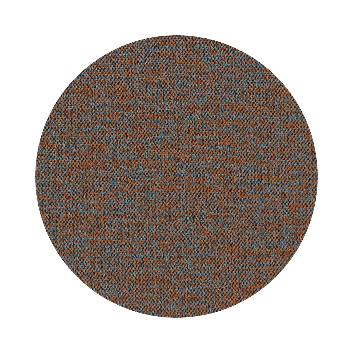 Q10 (Ciniglia)